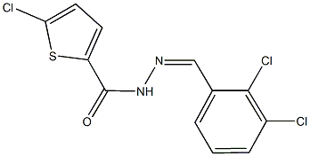 5-chloro-N'-(2,3-dichlorobenzylidene)-2-thiophenecarbohydrazide Structure