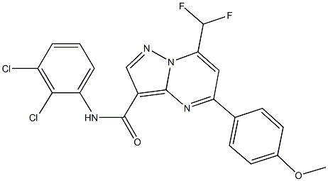 N-(2,3-dichlorophenyl)-7-(difluoromethyl)-5-(4-methoxyphenyl)pyrazolo[1,5-a]pyrimidine-3-carboxamide Structure