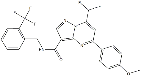 7-(difluoromethyl)-5-(4-methoxyphenyl)-N-[2-(trifluoromethyl)benzyl]pyrazolo[1,5-a]pyrimidine-3-carboxamide Struktur