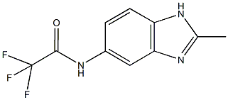 2,2,2-trifluoro-N-(2-methyl-1H-benzimidazol-5-yl)acetamide Struktur