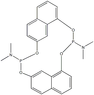 N~3~,N~3~,N~14~,N~14~-tetramethyl-2,4,13,15-tetraoxa-3,14-diphosphapentacyclo[14.6.2.2~5,8~.0~7,12~.0~20,24~]hexacosa-1(22),5,7,9,11,16,18,20,23,25-decaene-3,14-diamine,446053-17-4,结构式