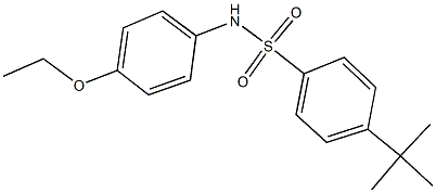 4-tert-butyl-N-(4-ethoxyphenyl)benzenesulfonamide Structure