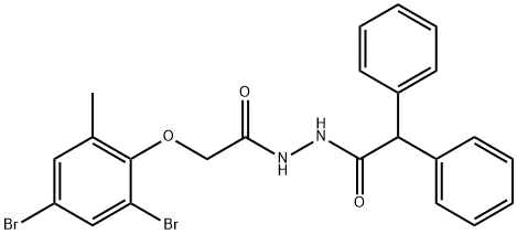 N'-[(2,4-dibromo-6-methylphenoxy)acetyl]-2,2-diphenylacetohydrazide Struktur