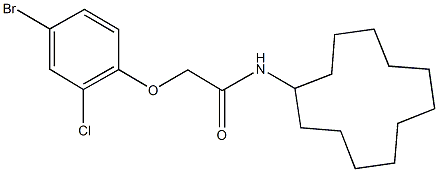 2-(4-bromo-2-chlorophenoxy)-N-cyclododecylacetamide,462088-72-8,结构式