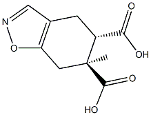 6-methyl-4,5,6,7-tetrahydro-1,2-benzisoxazole-5,6-dicarboxylic acid 化学構造式