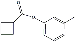 3-methylphenyl cyclobutanecarboxylate,486441-15-0,结构式