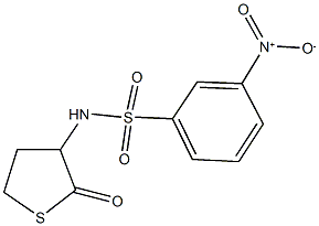 3-nitro-N-(2-oxotetrahydro-3-thienyl)benzenesulfonamide Structure