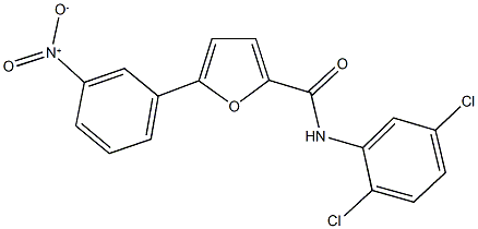 N-(2,5-dichlorophenyl)-5-{3-nitrophenyl}-2-furamide,491613-82-2,结构式