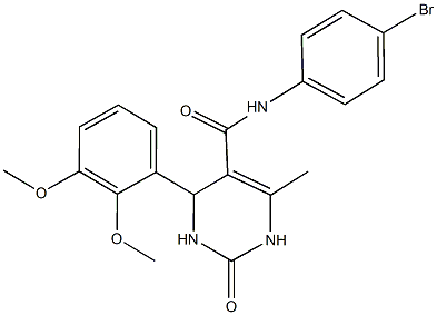 N-(4-bromophenyl)-4-(2,3-dimethoxyphenyl)-6-methyl-2-oxo-1,2,3,4-tetrahydropyrimidine-5-carboxamide Structure