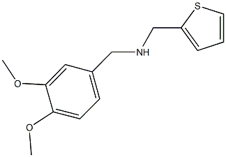 502935-34-4 N-(3,4-二甲氧基苄基)-1-(噻吩-2-基)甲胺
