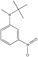 N-(tert-butyl)-N-methyl-3-nitroaniline 结构式