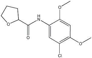 N-(5-chloro-2,4-dimethoxyphenyl)tetrahydrofuran-2-carboxamide,503563-94-8,结构式