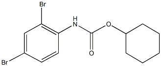 cyclohexyl 2,4-dibromophenylcarbamate 结构式