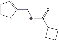 N-(2-thienylmethyl)cyclobutanecarboxamide Structure