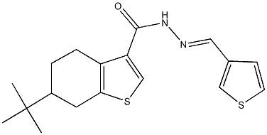 6-tert-butyl-N'-(3-thienylmethylene)-4,5,6,7-tetrahydro-1-benzothiophene-3-carbohydrazide Structure