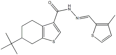 6-tert-butyl-N'-[(3-methyl-2-thienyl)methylene]-4,5,6,7-tetrahydro-1-benzothiophene-3-carbohydrazide 结构式