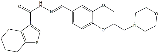 N'-{3-methoxy-4-[2-(4-morpholinyl)ethoxy]benzylidene}-4,5,6,7-tetrahydro-1-benzothiophene-3-carbohydrazide,524928-89-0,结构式
