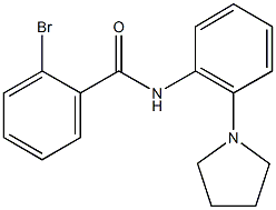 2-bromo-N-[2-(1-pyrrolidinyl)phenyl]benzamide 化学構造式