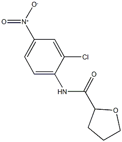 N-{2-chloro-4-nitrophenyl}tetrahydro-2-furancarboxamide 结构式