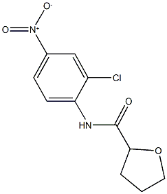 540532-58-9 N-{2-chloro-4-nitrophenyl}tetrahydro-2-furancarboxamide