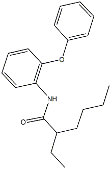 2-ethyl-N-(2-phenoxyphenyl)hexanamide|