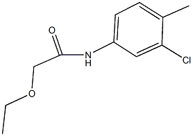 N-(3-chloro-4-methylphenyl)-2-ethoxyacetamide Struktur