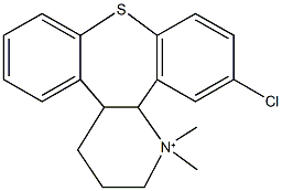 12-chloro-1,1-dimethyl-1,2,3,4,4a,13b-hexahydrodibenzo[2,3:6,7]thiepino[4,5-b]pyridin-1-ium,62992-93-2,结构式