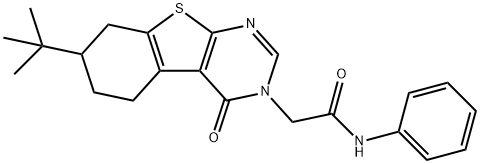 2-(7-tert-butyl-4-oxo-5,6,7,8-tetrahydro[1]benzothieno[2,3-d]pyrimidin-3(4H)-yl)-N-phenylacetamide 化学構造式