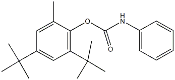 2,4-ditert-butyl-6-methylphenyl phenylcarbamate Structure