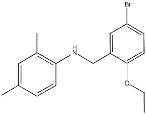 N-(5-bromo-2-ethoxybenzyl)-N-(2,4-dimethylphenyl)amine Struktur
