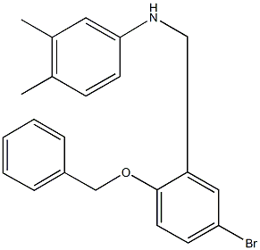 N-[2-(benzyloxy)-5-bromobenzyl]-N-(3,4-dimethylphenyl)amine Structure