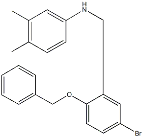 N-[2-(benzyloxy)-5-bromobenzyl]-N-(3,4-dimethylphenyl)amine 结构式