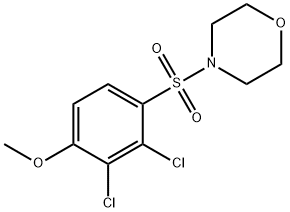 2,3-dichloro-4-(4-morpholinylsulfonyl)phenyl methyl ether Struktur
