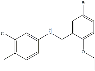 N-(5-bromo-2-ethoxybenzyl)-N-(3-chloro-4-methylphenyl)amine 结构式