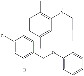 N-{2-[(2,4-dichlorobenzyl)oxy]benzyl}-N-(2,5-dimethylphenyl)amine Struktur