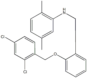 N-{2-[(2,4-dichlorobenzyl)oxy]benzyl}-N-(2,5-dimethylphenyl)amine Structure