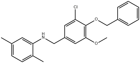 N-[4-(benzyloxy)-3-chloro-5-methoxybenzyl]-N-(2,5-dimethylphenyl)amine,664320-37-0,结构式