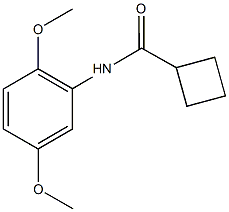 N-(2,5-dimethoxyphenyl)cyclobutanecarboxamide,666214-36-4,结构式