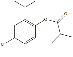 4-chloro-2-isopropyl-5-methylphenyl 2-methylpropanoate Structure