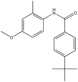 667867-44-9 4-tert-butyl-N-(4-methoxy-2-methylphenyl)benzamide