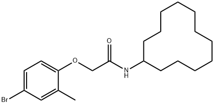 2-(4-bromo-2-methylphenoxy)-N-cyclododecylacetamide Structure