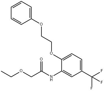 2-ethoxy-N-[2-(2-phenoxyethoxy)-5-(trifluoromethyl)phenyl]acetamide Structure