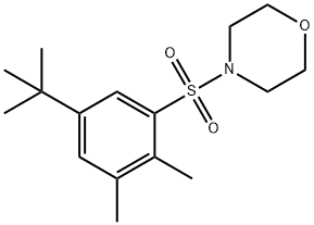 4-[(5-tert-butyl-2,3-dimethylphenyl)sulfonyl]morpholine Struktur