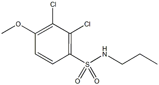 2,3-dichloro-4-methoxy-N-propylbenzenesulfonamide Structure