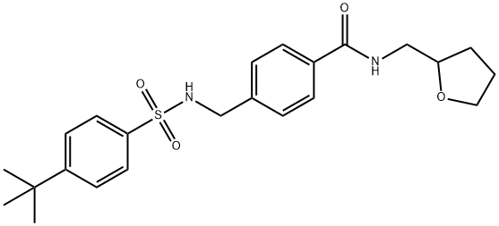 4-({[(4-tert-butylphenyl)sulfonyl]amino}methyl)-N-(tetrahydro-2-furanylmethyl)benzamide|