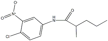 N-{4-chloro-3-nitrophenyl}-2-methylpentanamide Structure