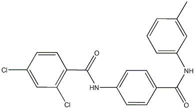 2,4-dichloro-N-[4-(3-toluidinocarbonyl)phenyl]benzamide 化学構造式