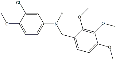 3-chloro-4-methoxy-N-(2,3,4-trimethoxybenzyl)aniline 结构式