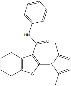 722466-47-9 2-(2,5-dimethyl-1H-pyrrol-1-yl)-N-phenyl-4,5,6,7-tetrahydro-1-benzothiophene-3-carboxamide