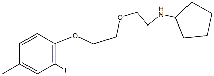 N-cyclopentyl-N-{2-[2-(2-iodo-4-methylphenoxy)ethoxy]ethyl}amine Struktur